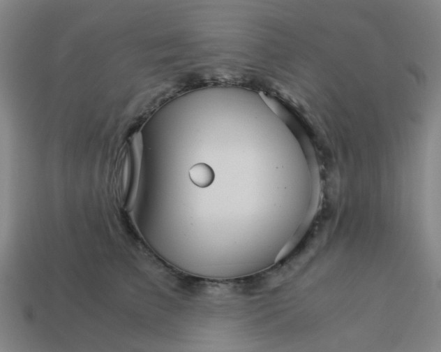 X0000113250709200910081318