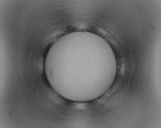 X0000113250710200910081318