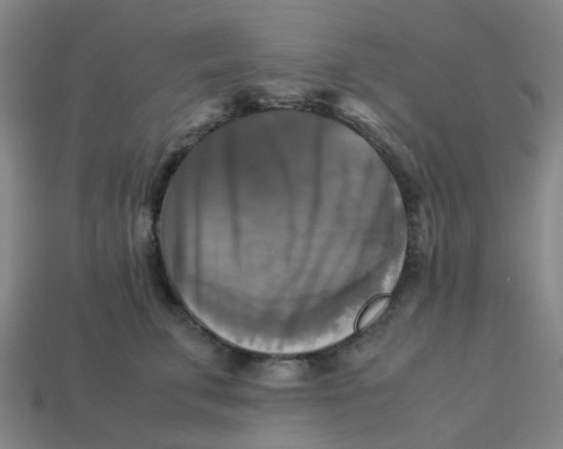 X0000113250711200910081318