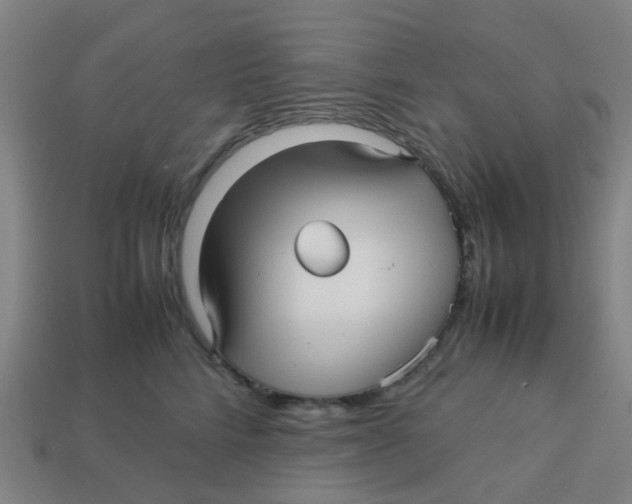 X0000113250712200910081318