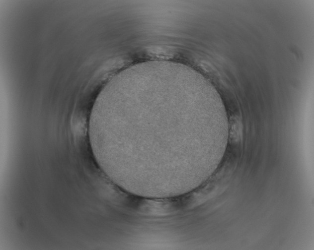 X0000113250713200910081318