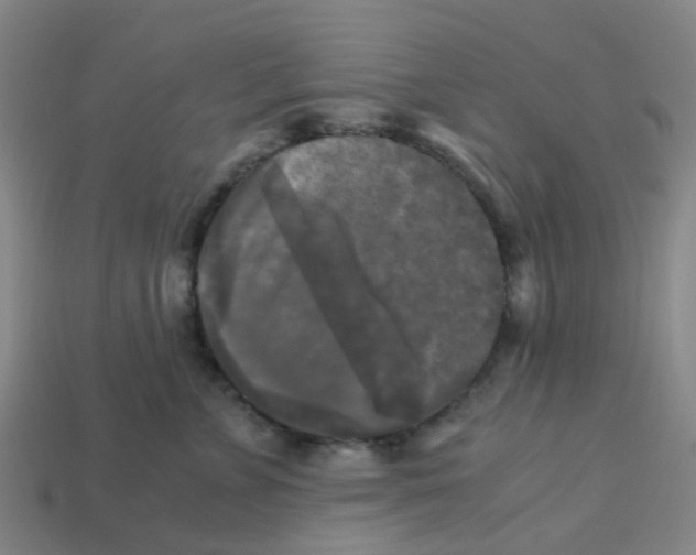 X0000113250715200910081318