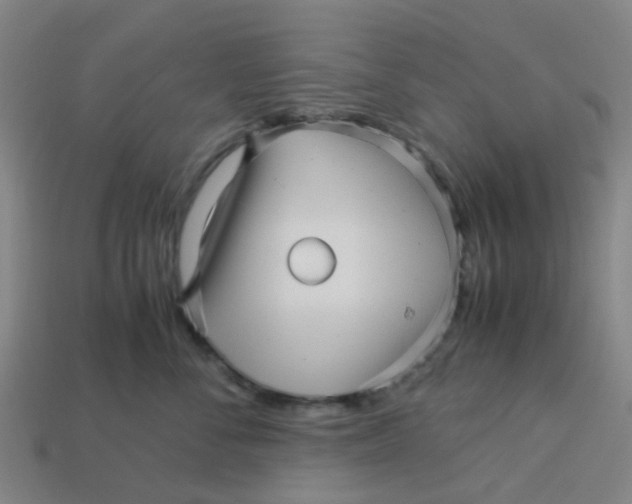 X0000113250716200910081318