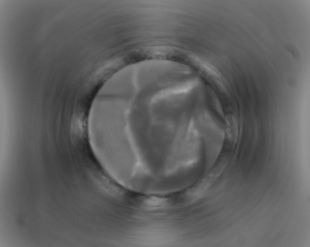 X0000113250718200910081318