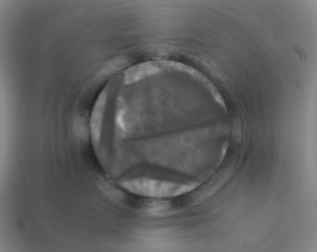 X0000113250719200910081318