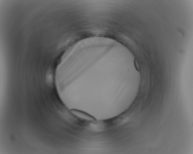 X0000113250720200910081318