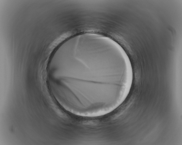 X0000113250721200910081318