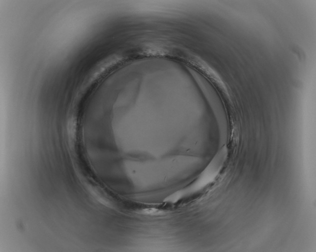 X0000113250722200910081318