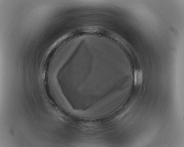 X0000113250723200910081318