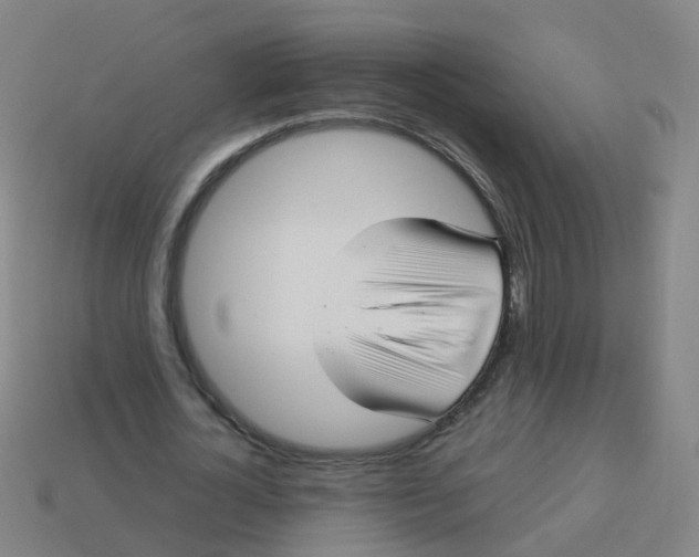 X0000113250724200910081318