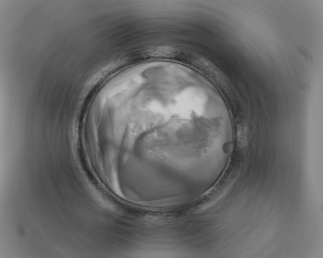 X0000113250725200910081318