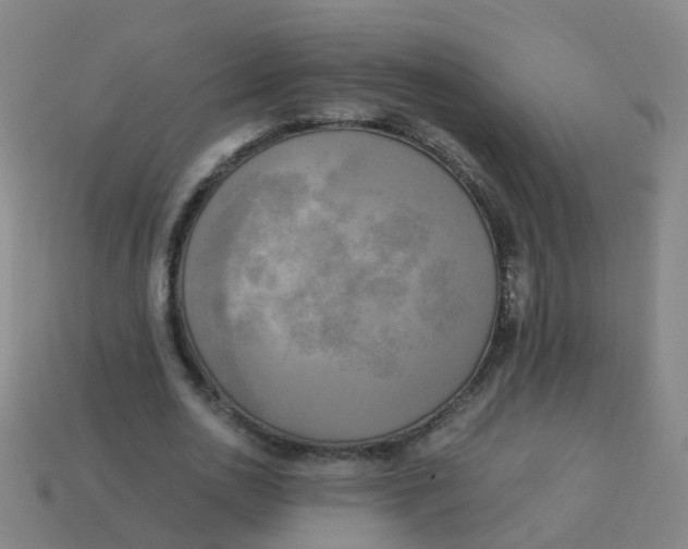 X0000113250726200910081318