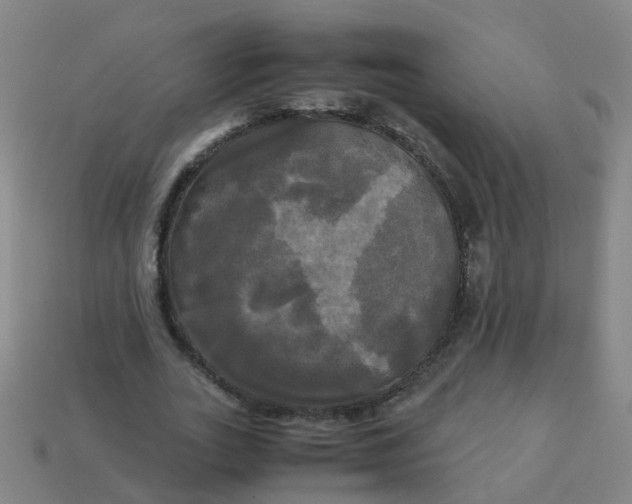 X0000113250727200910081318