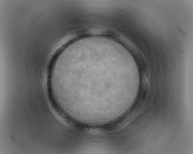 X0000113250730200910081318