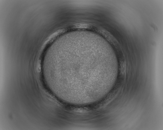 X0000113250731200910081318