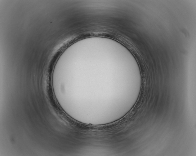 X0000113250732200910081318