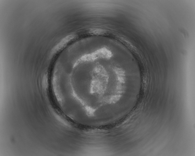 X0000113250734200910081318