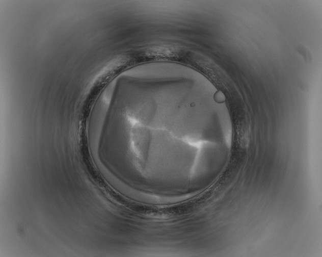 X0000113250735200910081318