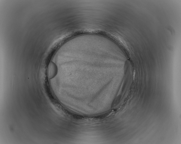 X0000113250736200910081318