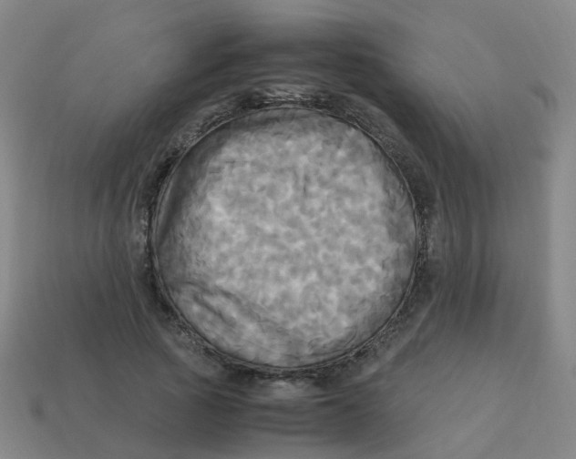 X0000113250737200910081318