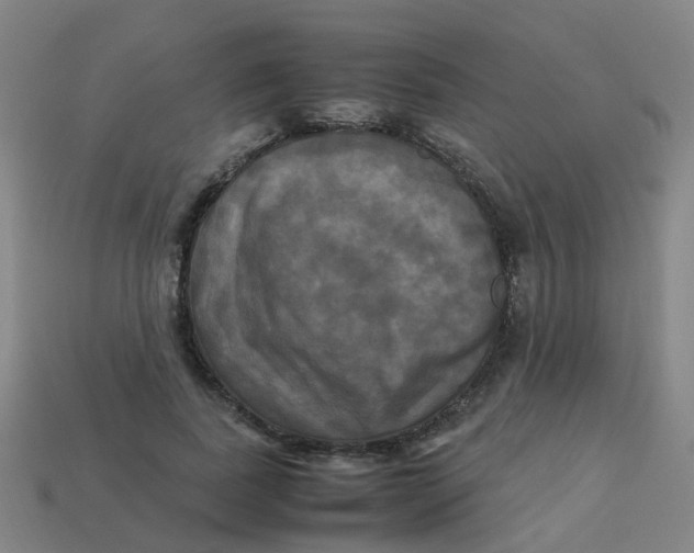 X0000113250739200910081318