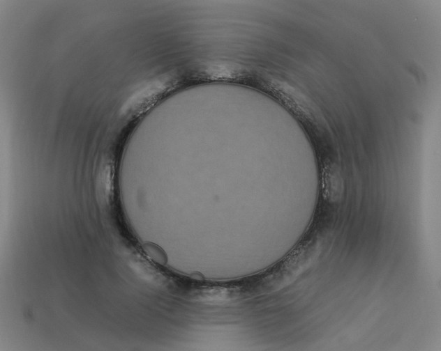 X0000113250740200910081318