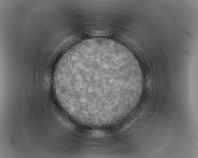 X0000113250741200910081318