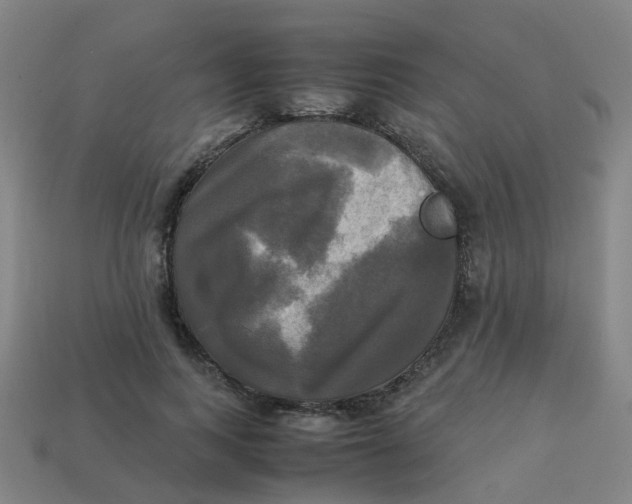 X0000113250743200910081318