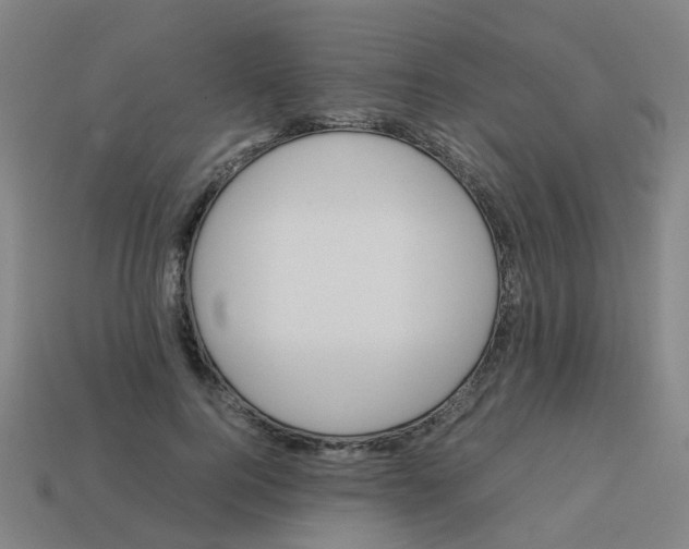 X0000113250744200910081318