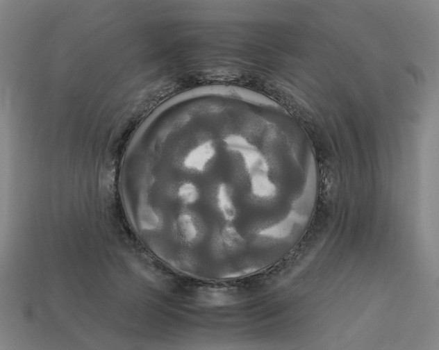 X0000113250745200910081318