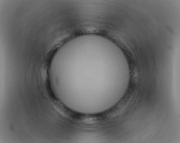 X0000113250746200910081318