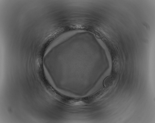 X0000113250747200910081318