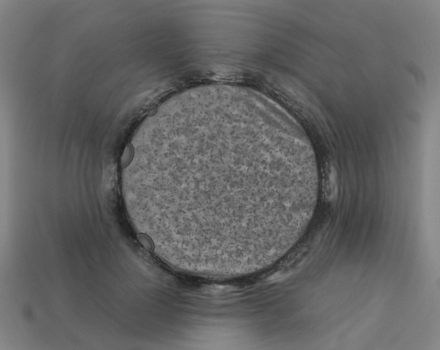 X0000113250748200910081318