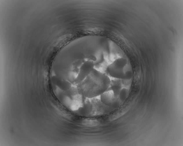 X0000113250749200910081318