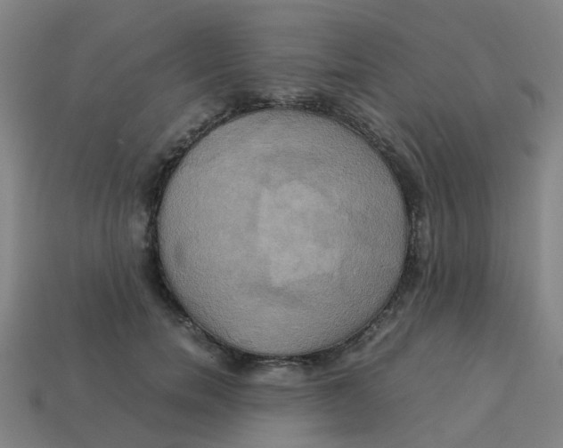 X0000113250750200910081318