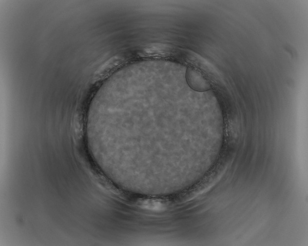 X0000113250751200910081318