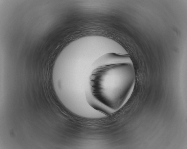 X0000113250752200910081318