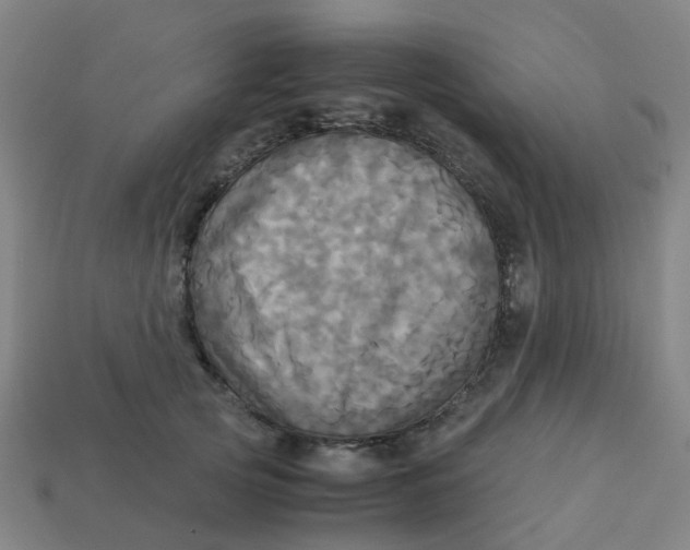 X0000113250753200910081318