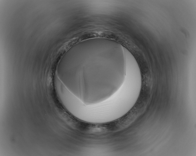 X0000113250754200910081318