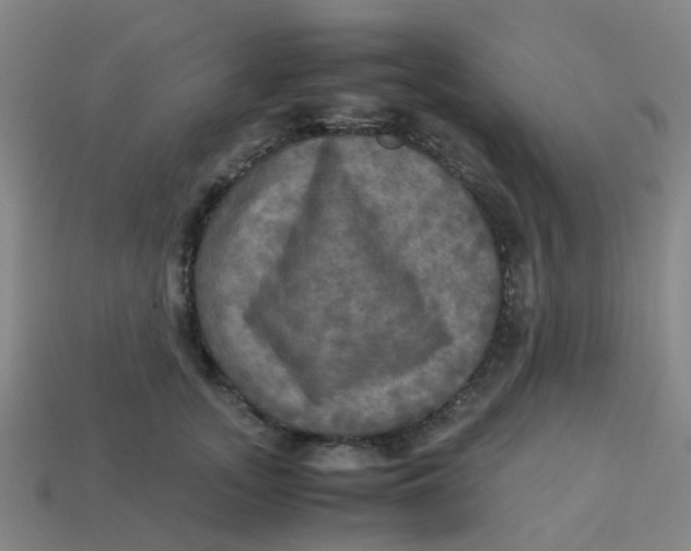 X0000113250755200910081318