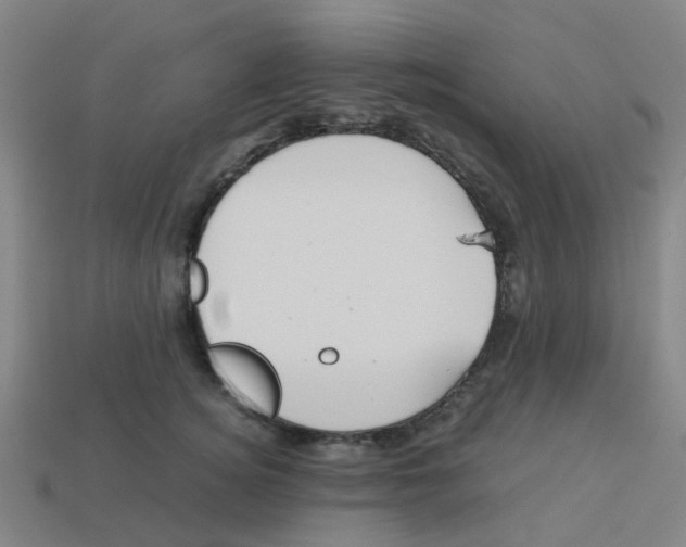 X0000113250756200910081318