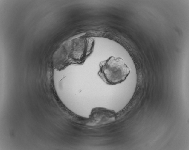 X0000113250757200910081318