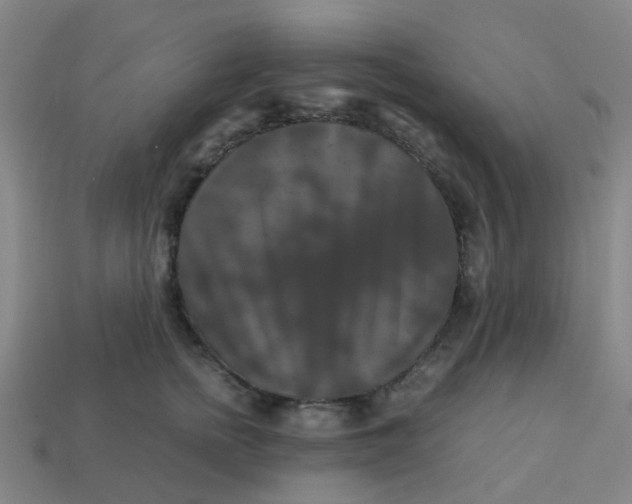 X0000113250758200910081318