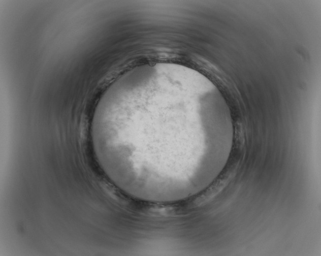 X0000113250760200910081318