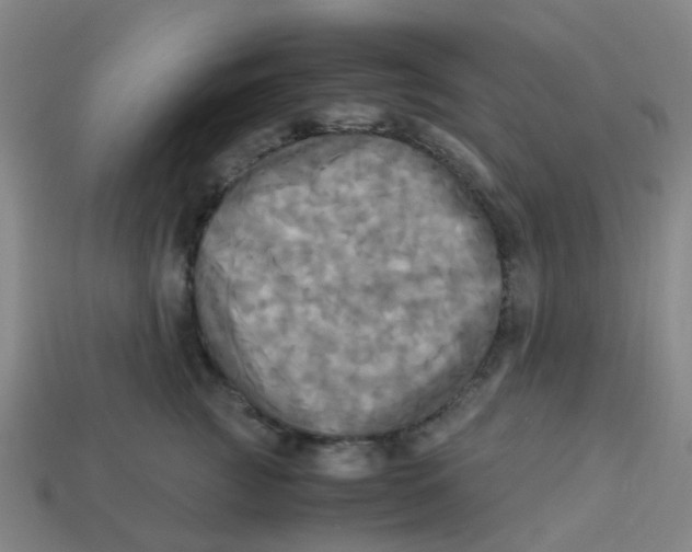 X0000113250761200910081318