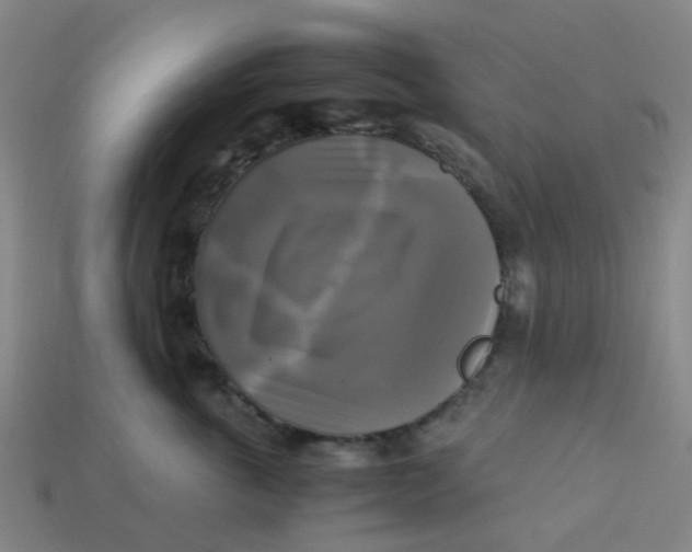 X0000113250763200910081318