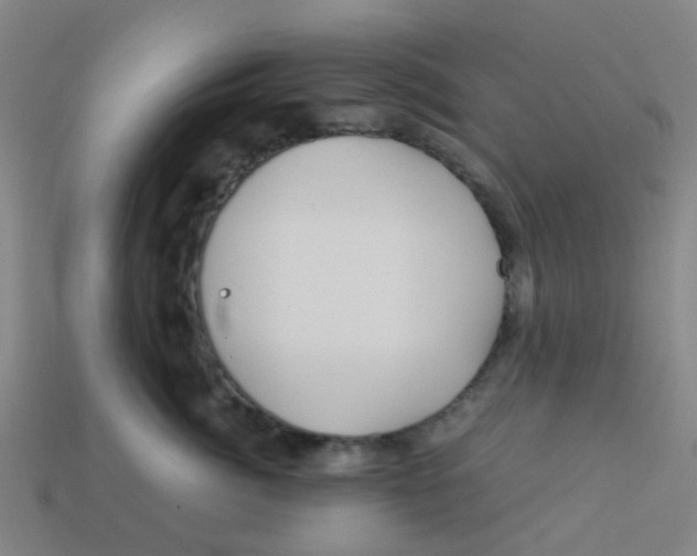 X0000113250764200910081318