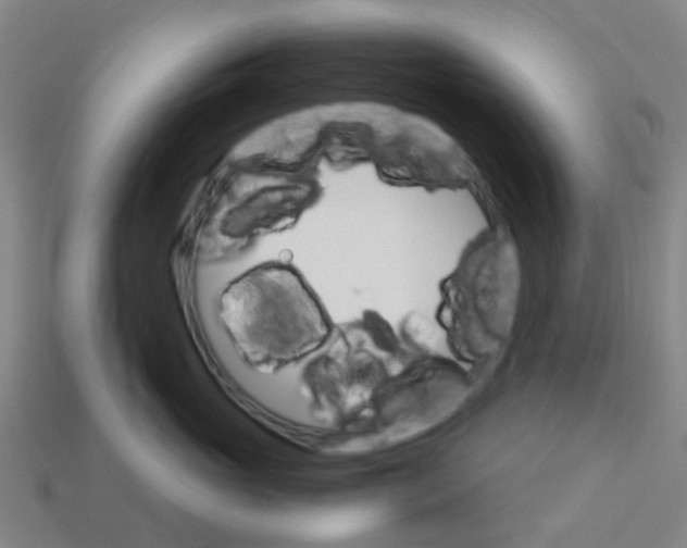 X0000113250765200910081318