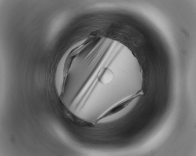 X0000113250766200910081318