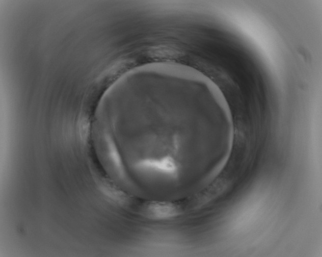 X0000113250767200910081318